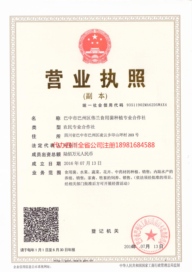 双辽双辽伟兰食用菌种植专业合作社